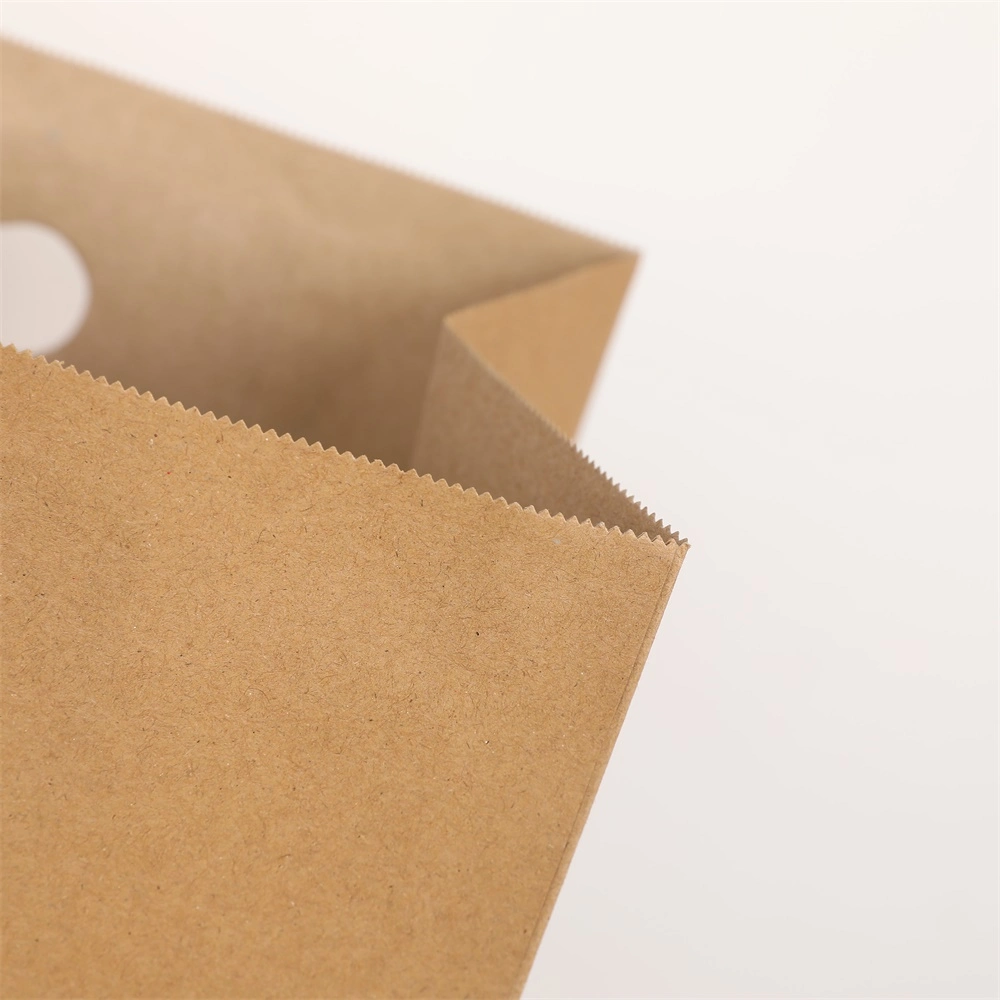 Recyclable Customize Die Cut Brown Kraft Printed Paper Bag
