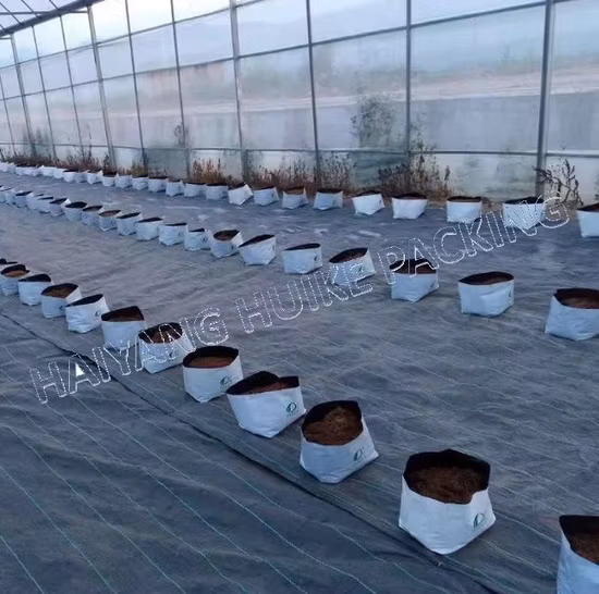 1/8-45 ガロン抗 UV ポリエチレンガーデンバッグ/PP バッグ/トマト栽培バッグ